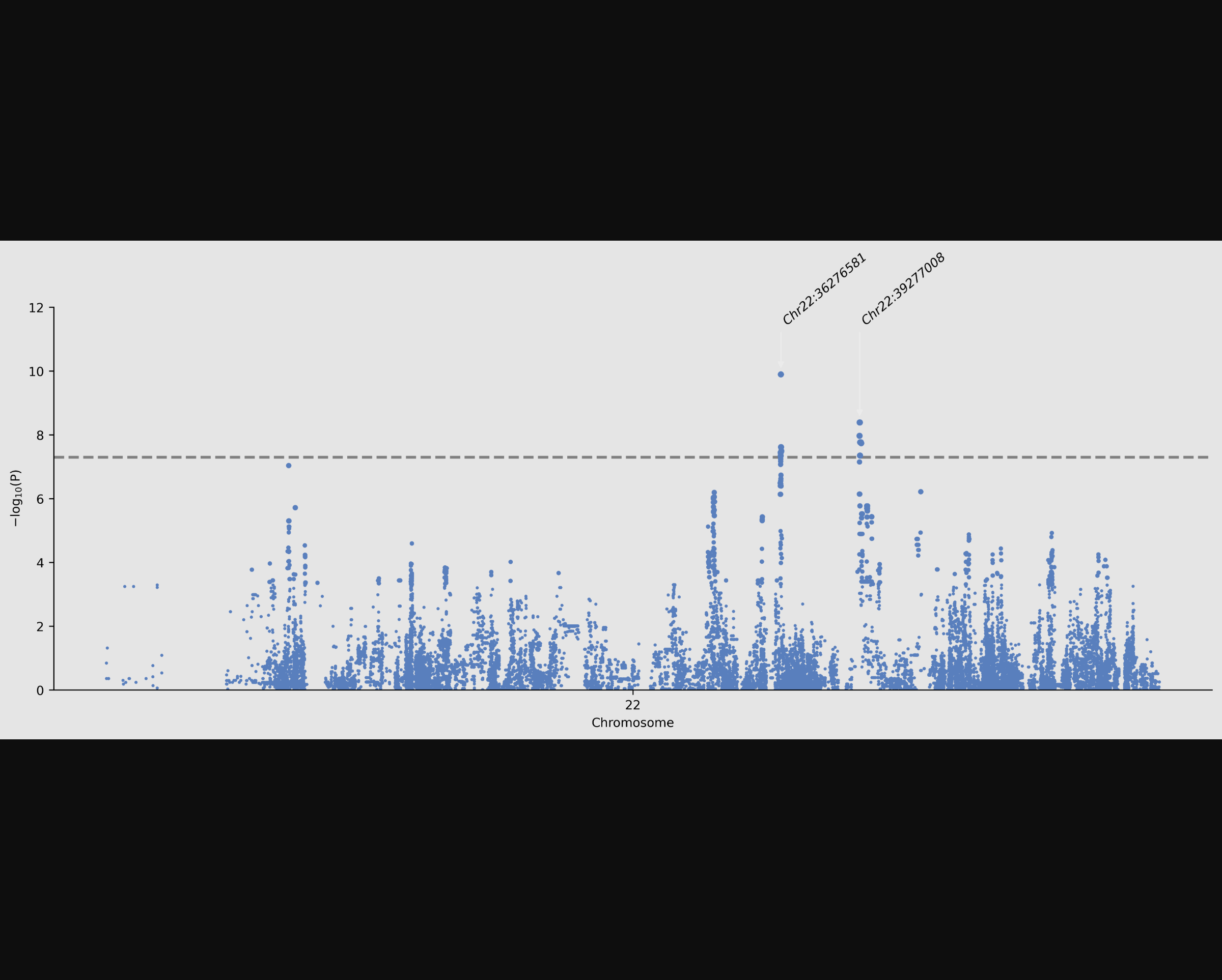 AfriGen-D Imputation Service Tutorial
